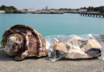 真空冷凍 夜光貝の刺身500ｇ 冷凍ソデイカ500ｇセット 鹿児島県喜界町 ふるさと納税サイト ふるなび