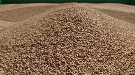 【純国産100％】白ごま３点セット(いりごま・すりごま・ごま塩)各2袋