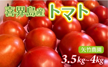 喜界町産トマト3.5kg~4.0kg 矢竹農園