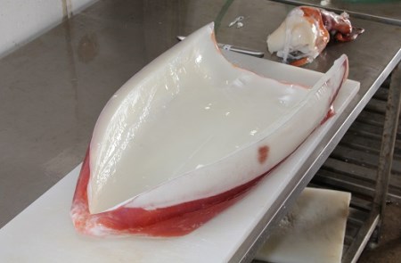 【2025年12月から発送】冷凍ソデイカ　200g(1~2人前)【真空冷凍】