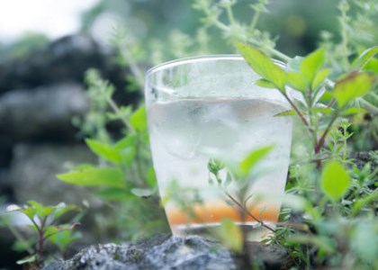 島仕込みクラフトコーラシロップ「TOBA TOBA COLA」115g