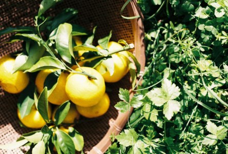 島仕込みクラフトコーラシロップ「TOBA TOBA COLA」115g