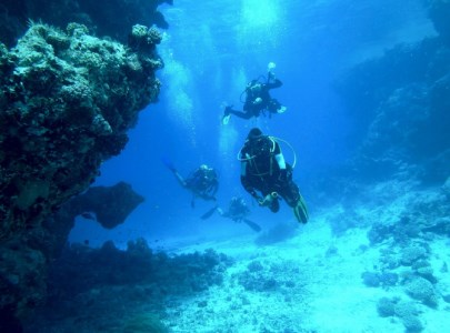 喜界島で スキューバダイビング（40～50分×２本）★道具レンタル料込み★ライセンス必要★ 