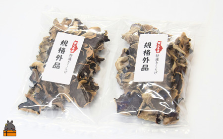 《訳あり》安心・安全 徳之島産きくらげ（規格外品）80g（40g×2袋） ( キクラゲ きのこ キノコ 野菜 ワケあり 徳之島 奄美 国産 数量限定 レターパックライト配送 ポストイン )
