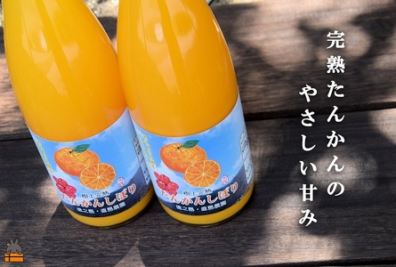 ≪NEW 2025年もぎたて!≫徳之島の直島農園さんのたんかんしぼり(720ml×2本) ( フルーツ ジュース 果汁 果物 柑橘 徳之島 鹿児島 濃厚 贅沢 太陽 恵み 健康 美味しい )
