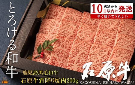 世界が絶賛した“とろける和牛”幻の石原牛 霜降り焼肉300g ( 鹿児島黒毛和牛 ブランド牛 牛肉 ビーフ こだわり プレミアム オメガ３脂肪酸 贈答 ギフト 徳之島 奄美 鹿児島 美味しい 霜降り 脂身 ステーキ 焼肉 BBQ 世界基準 石原PRO 決済後10日以内発送 )