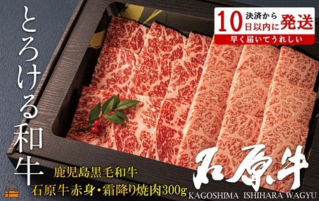 世界が絶賛した“とろける和牛”幻の石原牛 赤身・霜降り食べ比べ焼肉300g ( 鹿児島黒毛和牛 ブランド牛 牛肉 ビーフ こだわり プレミアム オメガ３脂肪酸 贈答 ギフト 徳之島 奄美 鹿児島 美味しい 赤身 霜降り 脂身 ステーキ 焼肉 BBQ 世界基準 石原PRO 決済後10日以内発送 ) 11,250円