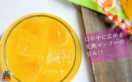 ～うっとりするおいしさ～徳之島のマンゴージュース（3本）（ 完熟マンゴー ジュース ドリンク フルーツ 果物 果汁 美味しい ビタミン スイーツ 南の島 奄美 鹿児島 ）
