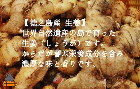 徳之島のしあわせ島ジャム200g（生姜：しょうが）( ジャム パン フルーツ 果物 南国 南の島 贅沢 濃厚 美味しい 徳之島 鹿児島 美農里館 世界自然遺産 美味しい 人気 )