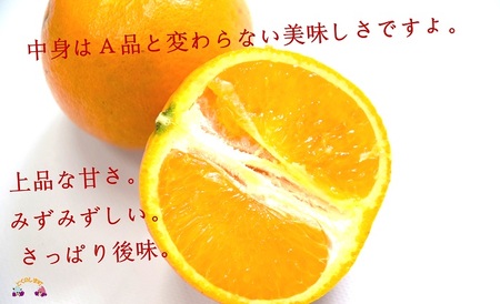 《先行予約》（家庭用）見た目は△！でも味は◎！徳之島産“もぎたて”たんかん（5kg） （ 訳あり 訳有 わけあり ワケ有 タンカン フルーツ みかん 果物 柑橘 甘い 徳之島 奄美 鹿児島 もぎたて フレッシュ 世界自然遺産 フルーツアイランド 先行予約）