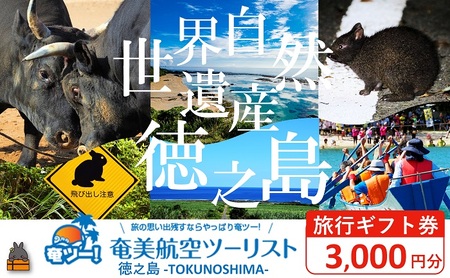 奄美航空ツーリスト徳之島営業所 旅行ギフト券（3,000円分）（ 旅行会社 地元旅行会社 旅行クーポン 航空券 フェリー 徳之島 奄美 鹿児島 世界自然遺産 奄美航空ツーリスト 奄ツー！ 徳之島営業所 旅行パック 飛行機 船 宿泊 ホテル )