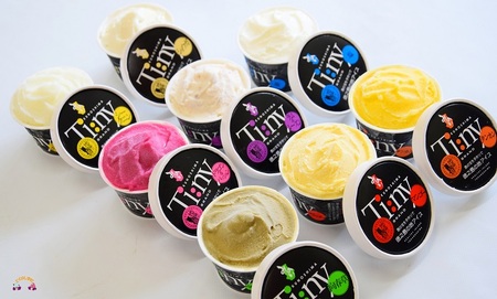 ～島の素材をそのままに～プレミアムジェラート＆ソルベ（16個）（ アイス スイーツ スイーツ 食べ比べ 8種類 マンゴー パッションフルーツ ドラゴンフルーツ ラムレーズン タンカン 塩 アイスクリーム 洋菓子 徳之島 奄美 鹿児島 )