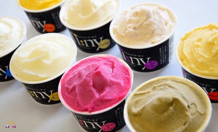 ～島の素材をそのままに～プレミアムジェラート＆ソルベ（16個）（ アイス スイーツ スイーツ 食べ比べ 8種類 マンゴー パッションフルーツ ドラゴンフルーツ ラムレーズン タンカン 塩 アイスクリーム 洋菓子 徳之島 奄美 鹿児島 )