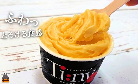 ～原料の45％が完熟マンゴー～徳之島プレミアムマンゴージェラート（8個） ( アイス スイーツ スイーツ マンゴー フルーツ 果物 アイスクリーム 洋菓子 徳之島 奄美 鹿児島 45％ 濃厚 ほぼマンゴー )