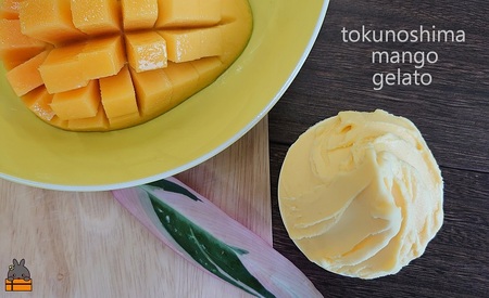 ～原料の45％が完熟マンゴー～徳之島プレミアムマンゴージェラート（8個） ( アイス スイーツ スイーツ マンゴー フルーツ 果物 アイスクリーム 洋菓子 徳之島 奄美 鹿児島 45％ 濃厚 ほぼマンゴー )