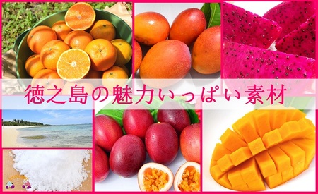 《年末（12月）お届け！》～完熟マンゴー＆パッション＆ドラゴンetc～徳之島プレミアムジェラート＆ソルベ 8個（ アイス スイーツ スイーツ 食べ比べ 5種類 マンゴー パッションフルーツ ドラゴンフルーツ ラムレーズン タンカン 塩 シークニン しょうが 向春草 シマアザミ アイスクリーム 洋菓子 徳之島 奄美 鹿児島 )