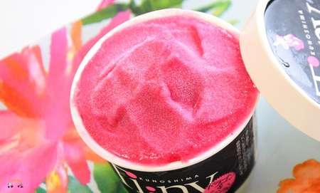 《年末（12月）お届け！》～島の素材をそのままに～プレミアムジェラート＆ソルベ 16個 （ アイス スイーツ スイーツ 食べ比べ 8種類 マンゴー パッションフルーツ ドラゴンフルーツ ラムレーズン タンカン 塩 アイスクリーム 洋菓子 徳之島 奄美 鹿児島 )