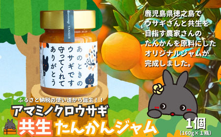 《徳之島町オリジナル！》アマミノクロウサギ共生たんかんジャム 160g　( ジャム アマミノクロウサギ ウサギ うさぎ 共生 自然保護 共に暮らす パン たんかん パッションフルーツ フルーツ 果物 島 濃厚 美味しい 徳之島 鹿児島 美農里館 世界自然遺産 武蔵野大学 )