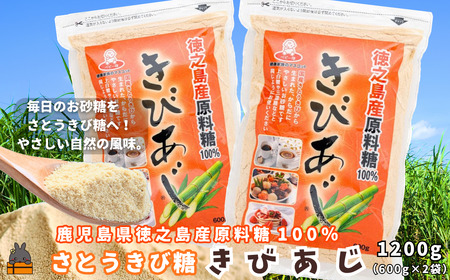 【ポストイン配送】徳之島産原料糖100％ さとうきび糖 きびあじ（600g×2袋） ( 砂糖 さとうきび糖 ミネラル 砂糖 徳之島 上野砂糖 )