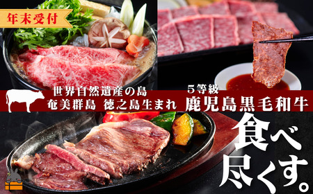 《年末受付》世界自然遺産の島。徳之島生まれ 5等級 鹿児島黒毛和牛 食べ尽くす。 ( サーロインステーキ 肩ローススライス ロース焼肉 食べ比べ 5等級 鹿児島黒毛和牛 牛肉 徳之島 奄美 鹿児島 スターゼン )
