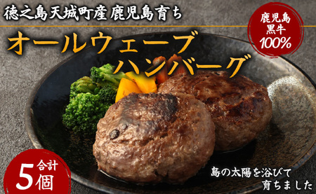 徳之島 天城町産 鹿児島育ち 鹿児島黒牛 オールウェーブハンバーグ 5個 和牛100%