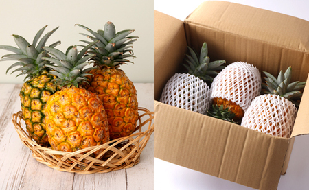 【先行受付】徳之島 天城町産 パイナップル 約3kg 3玉～4玉 スムースカイエン パイン フルーツ 果物