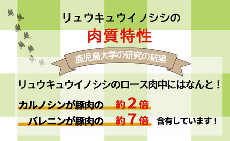 【天城町】大自然で育ったあまぎのやましし ローススライス 2kg イノシシ ジビエ 猪肉