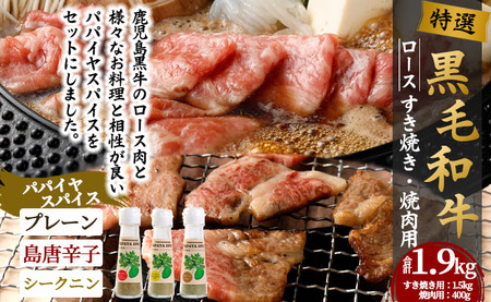 特選 鹿児島黒毛和牛 すき焼き 焼肉 パパイヤスパイス ３種セット Z-10 黒毛和牛 和牛 すき焼き 焼き肉 肉 牛 パパイヤ