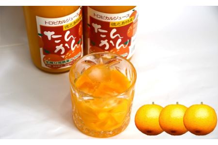 天城町産 果汁100％ 宝果樹園 タンカンジュース 3本セット タンカン AT-5-N