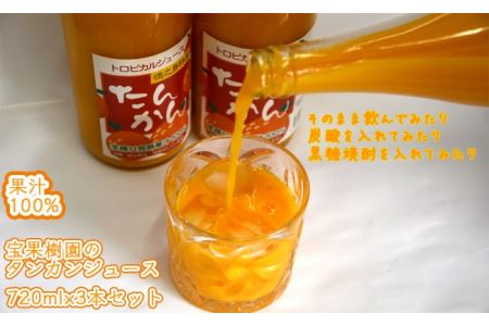 天城町産 果汁100％ 宝果樹園 タンカンジュース 3本セット タンカン AT-5-N