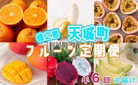 【年6回発送】徳之島の天城町から島のフルーツ定期便