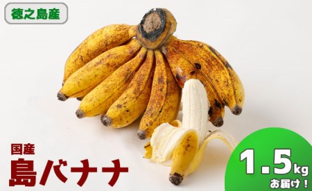 【鹿児島県天城町】徳之島 子宝バナナ 1.5kg 島バナナ バナナ AL-6-N