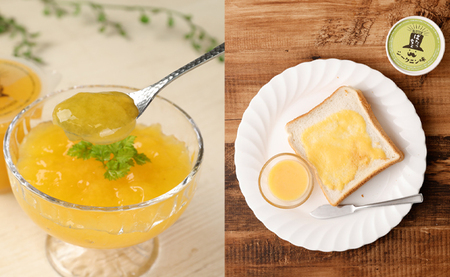 徳之島の素材で作った まぁーいスイーツセット ゼリー レアチーズ シークニン おやつ 詰め合わせ デザート W-5-N