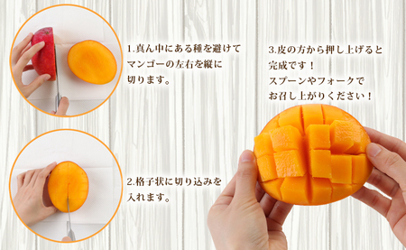 【2026年発送】【先行受付】徳之島 天城町産 完全無加温 完熟 マンゴー 家庭用 2kg