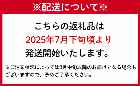 【2025年発送】先行受付 徳之島 天城町産 完全無加温 完熟 マンゴー Ａ品 1kg 贈答