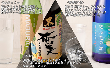 奄美酒類 本格 黒糖焼酎 お楽しみ 定期便 お手軽 900ml 720ml 2本×6回 AG-109