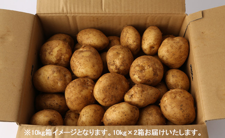 【先行受付】徳之島 天城町産 赤土ばれいしょ 新じゃが 春一番 20kg L～2L 混合サイズ ジャガイモ じゃがいも バレイショ