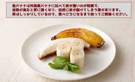 鹿児島県天城町】【2026年発送】徳之島子宝バナナ 3kg 島バナナ バナナ