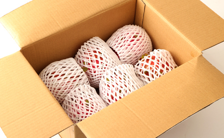 【2026年発送分】鹿児島県 徳之島 天城町産 ピンク ドラゴンフルーツ 約2kg トロピカルフルーツ ピタヤ AJ-5-N