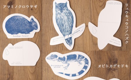 【世界自然遺産登録記念】 手作りポストカード 3種類×5枚セット 合計15枚 ボールペンアート 絵葉書 ウサギ トカゲ フクロウ
