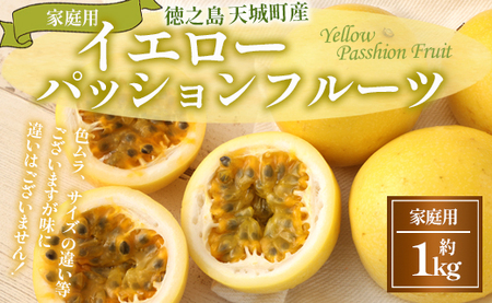 2026年発送】先行受付 徳之島 天城町産 【家庭用】吉川果樹園