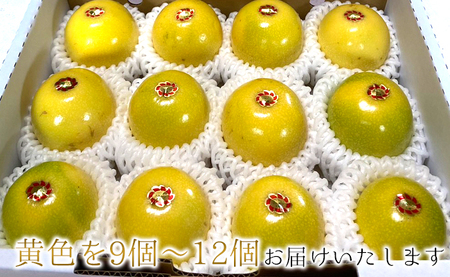 徳之島 天城町 吉川果樹園 家庭用 イエローパッションフルーツ 約2kg パッションフルーツ 混合サイズ AB-37-N