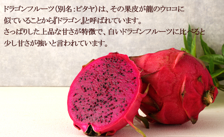 【2026年発送分】ご家庭用 徳之島 天城町産ドラゴンフルーツ 赤色 約2kg ピタヤ AJ-4-N