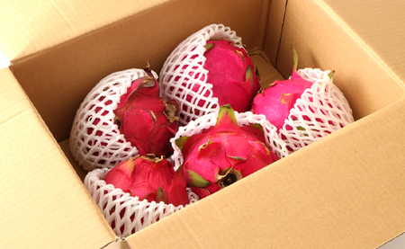 【2026年発送分】ご家庭用 徳之島 天城町産ドラゴンフルーツ 赤色 約2kg ピタヤ AJ-4-N