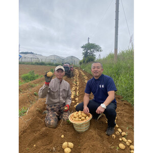 【先行予約! 2026年2月中旬発送】 伊仙町 特産品 有機栽培 ばれいしょ 約10kg【1484237】