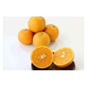 【先行予約!2026年1月下旬より発送】清水果樹園のたんかん約5kg(化粧箱入り)【1456087】