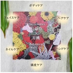 長命草×月桃　徳之島マルチオイル【1407380】