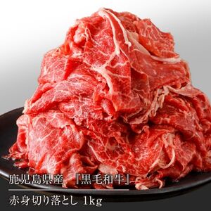 鹿児島県産 黒毛和牛赤身切り落とし 合計1kg(500g×2パック)(伊仙町)【1407801】