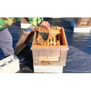 天然徳之島産はちみつ「センチュリーハニー」180g×2個【1408410】