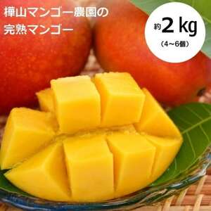【2025年7月中旬より順次発送】完熟マンゴー約2kg(4～6個:化粧箱入り)、家庭用(B級品)【配送不可地域：離島】【1410025】